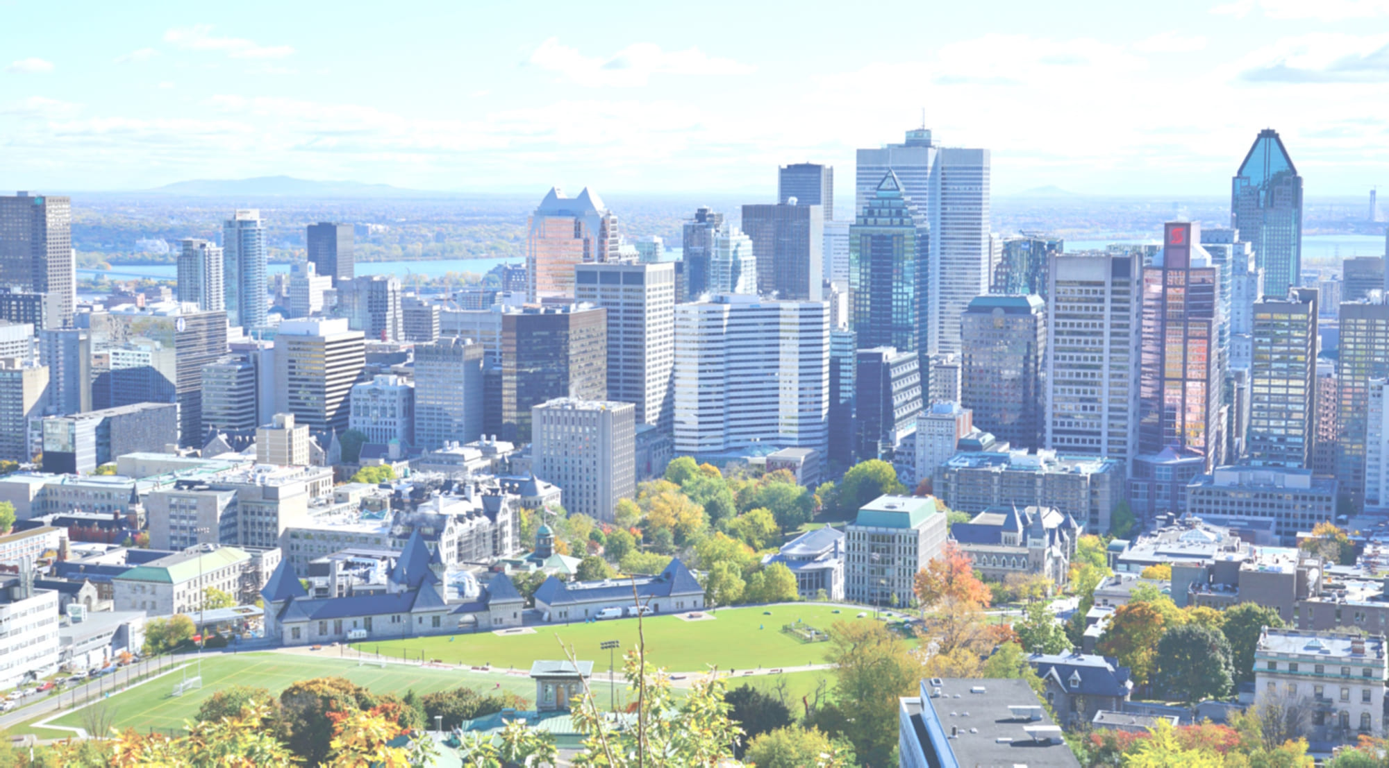 https://www.langdon-partners.com/Montreal